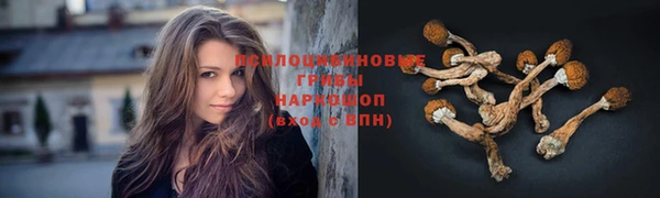 jwh Иннополис