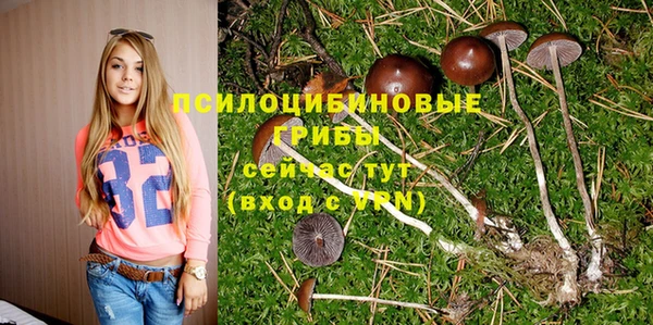 jwh Иннополис