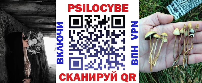 Псилоцибиновые грибы Psilocybe  Иннополис 